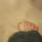 Loveandspit
