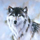 silversunwolf-ph
