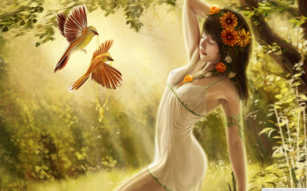 User profile cover