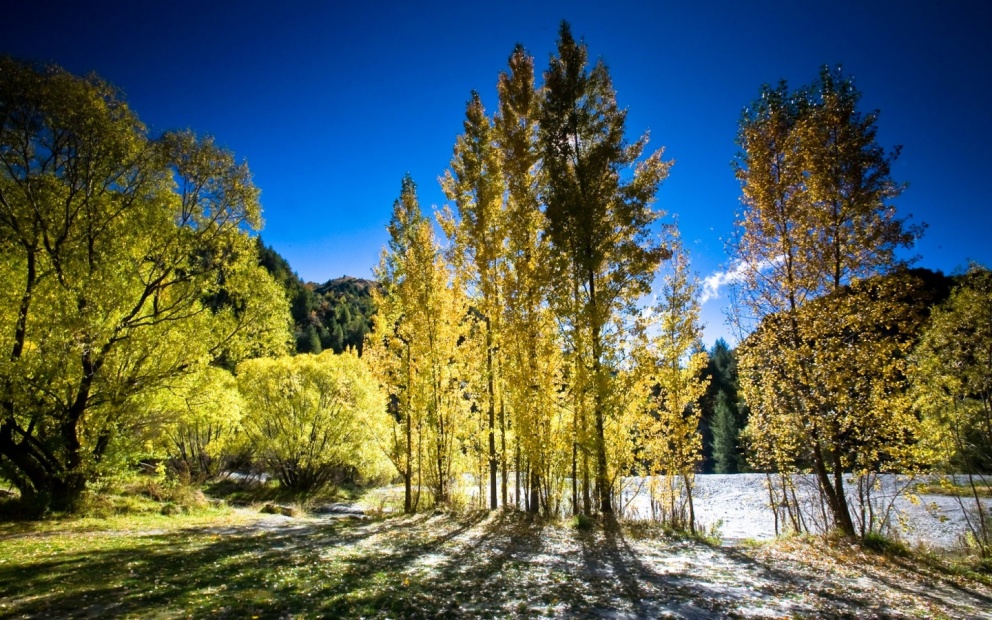 User profile cover